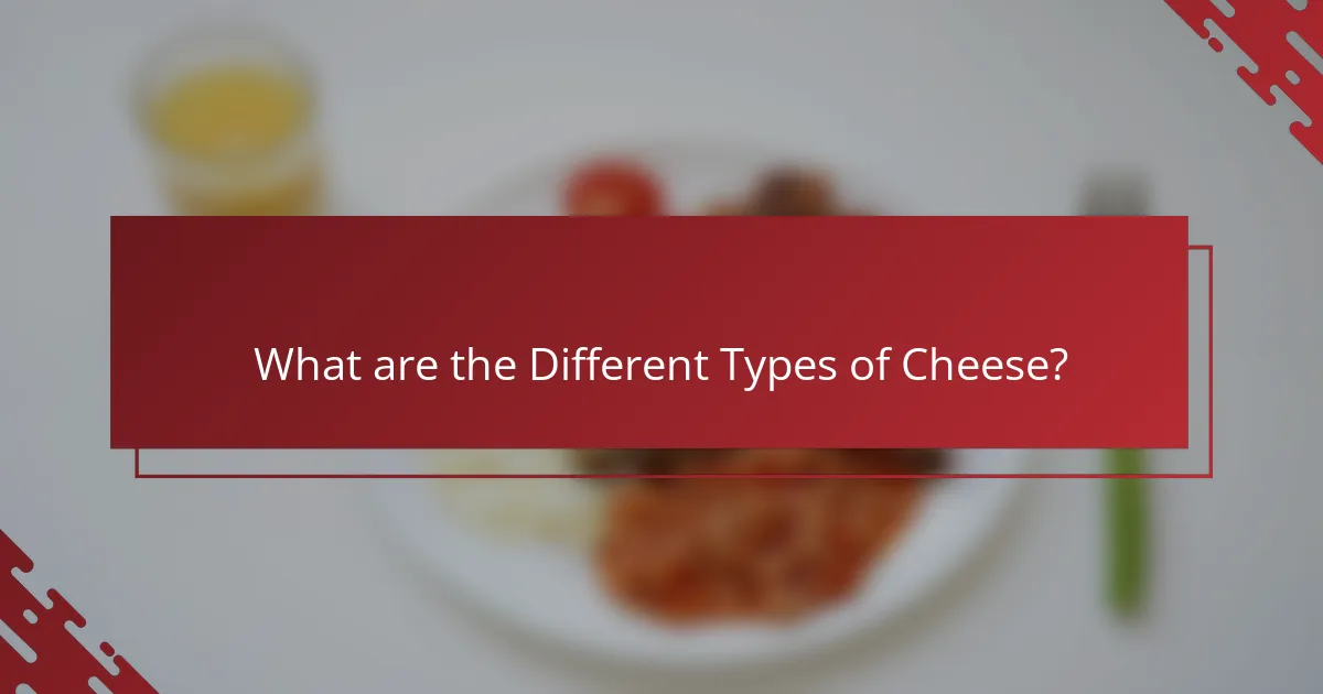 What are the Different Types of Cheese?
